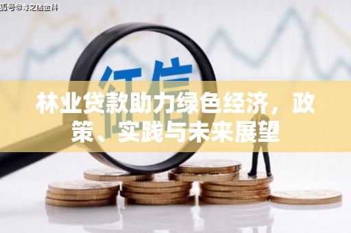 离石林业贷款助力绿色经济，政策、实践与未来展望