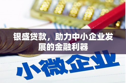 新会银盛贷款，助力中小企业发展的金融利器