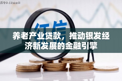 户县养老产业贷款，推动银发经济新发展的金融引擎