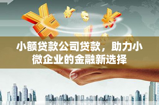 玉山小额贷款公司贷款，助力小微企业的金融新选择