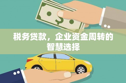浑源税务贷款，企业资金周转的智慧选择