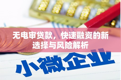 玉树无电审贷款，快速融资的新选择与风险解析