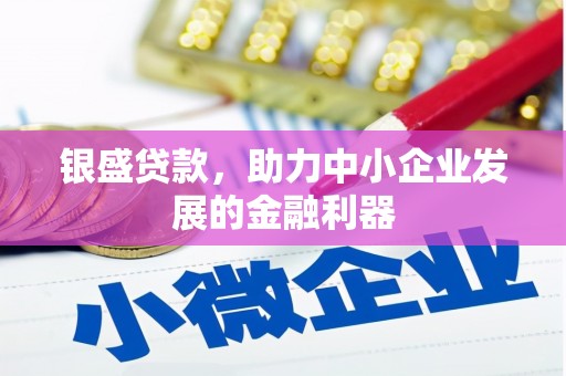 镇康银盛贷款，助力中小企业发展的金融利器