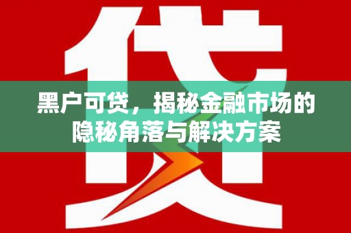 镇宁黑户可贷，揭秘金融市场的隐秘角落与解决方案