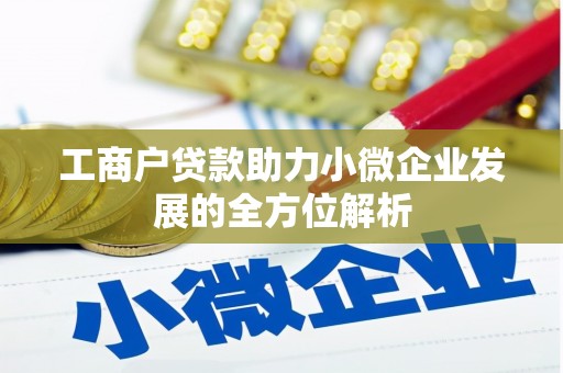 博湖工商户贷款助力小微企业发展的全方位解析