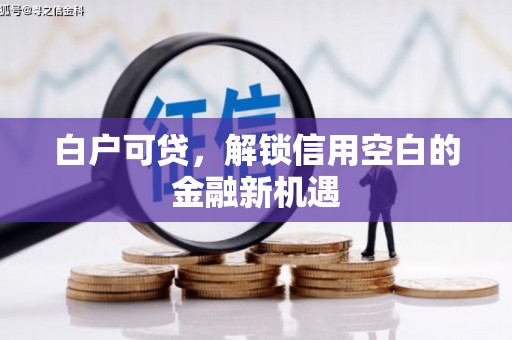 洪雅白户可贷，解锁信用空白的金融新机遇