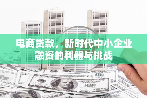 磁县电商贷款，新时代中小企业融资的利器与挑战
