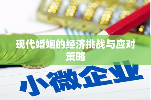 云龙现代婚姻的经济挑战与应对策略