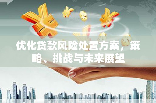 天津优化贷款风险处置方案，策略、挑战与未来展望