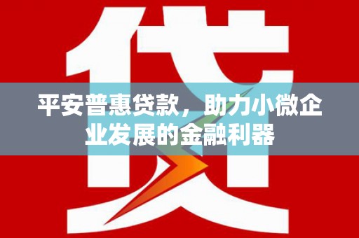 隆回平安普惠贷款，助力小微企业发展的金融利器