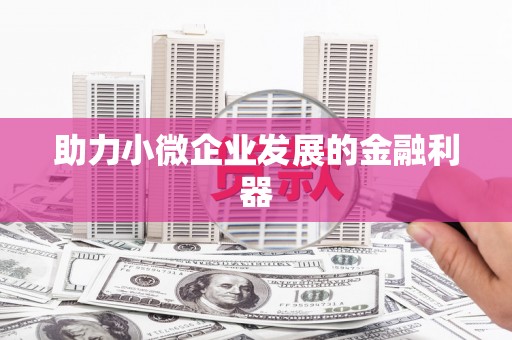 阿莲助力小微企业发展的金融利器