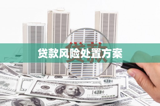 东至贷款风险处置方案
