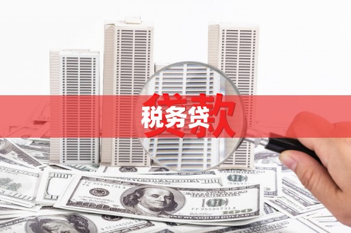 阳高税务贷