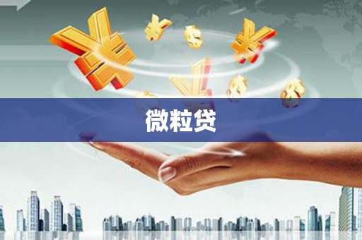 东凤微粒贷