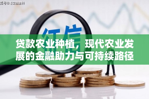 岱岳贷款农业种植，现代农业发展的金融助力与可持续路径