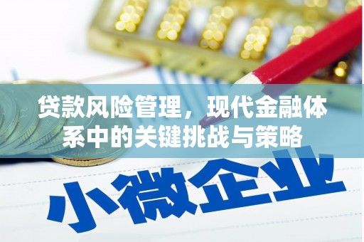 连山贷款风险管理，现代金融体系中的关键挑战与策略