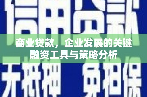 滴道商业贷款，企业发展的关键融资工具与策略分析