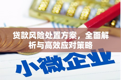 阿拉山口贷款风险处置方案，全面解析与高效应对策略