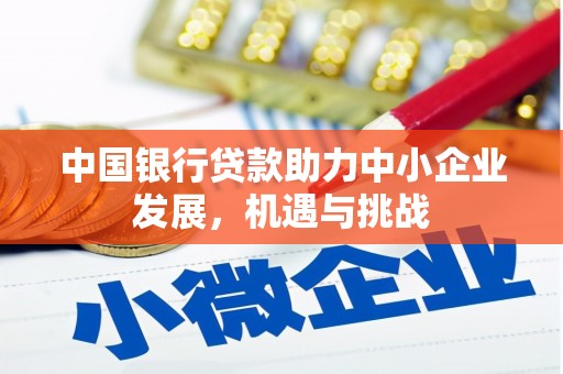 阜城中国银行贷款助力中小企业发展，机遇与挑战