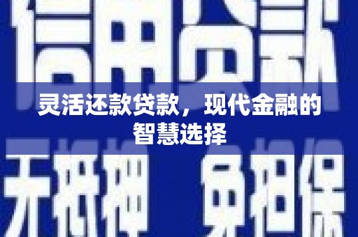 温宿灵活还款贷款，现代金融的智慧选择