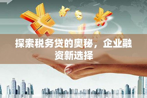 双溪探索税务贷的奥秘，企业融资新选择