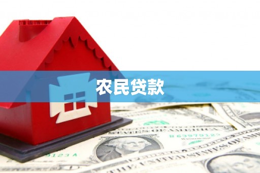 站前农民贷款