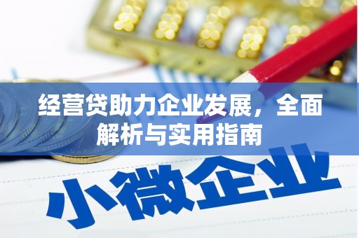 务川经营贷助力企业发展，全面解析与实用指南