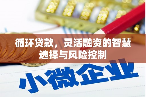 丰城循环贷款，灵活融资的智慧选择与风险控制