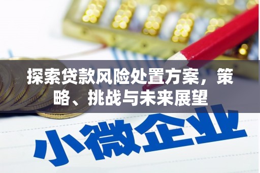 新津探索贷款风险处置方案，策略、挑战与未来展望