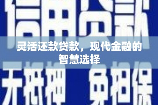文安灵活还款贷款，现代金融的智慧选择