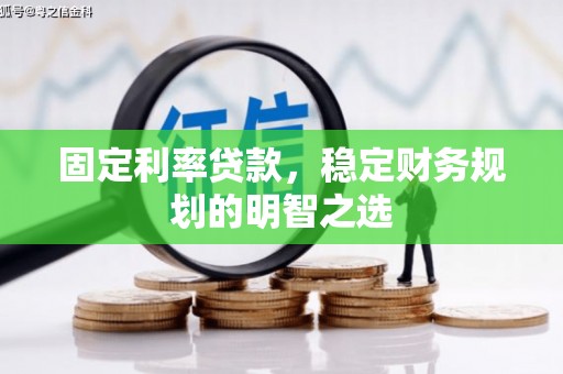 嵊泗固定利率贷款，稳定财务规划的明智之选