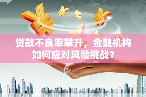 鹿寨贷款不良率攀升，金融机构如何应对风险挑战？