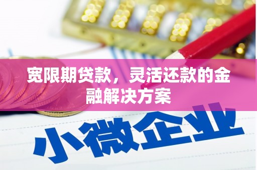 卑南宽限期贷款，灵活还款的金融解决方案