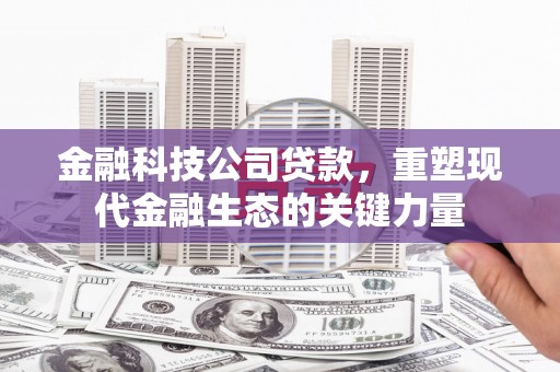 阳信金融科技公司贷款，重塑现代金融生态的关键力量