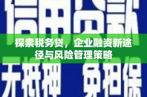 沁阳探索税务贷，企业融资新途径与风险管理策略