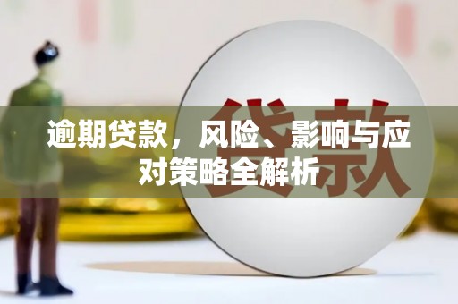 郸城逾期贷款，风险、影响与应对策略全解析