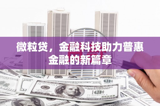 麻山微粒贷，金融科技助力普惠金融的新篇章