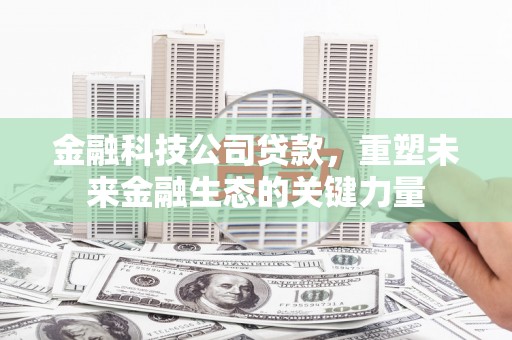 武清金融科技公司贷款，重塑未来金融生态的关键力量