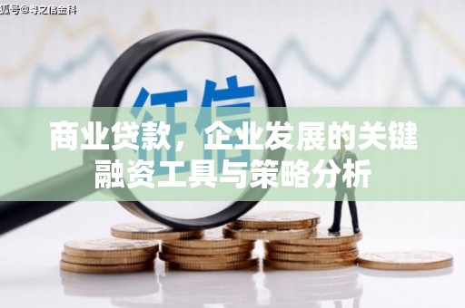 沂源商业贷款，企业发展的关键融资工具与策略分析