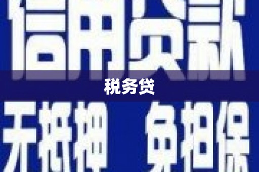 毕节税务贷