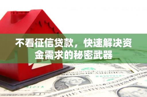 三水不看征信贷款，快速解决资金需求的秘密武器