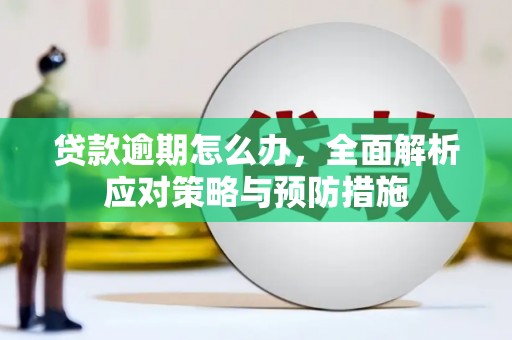 毕节贷款逾期怎么办，全面解析应对策略与预防措施