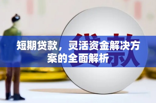 武川短期贷款，灵活资金解决方案的全面解析