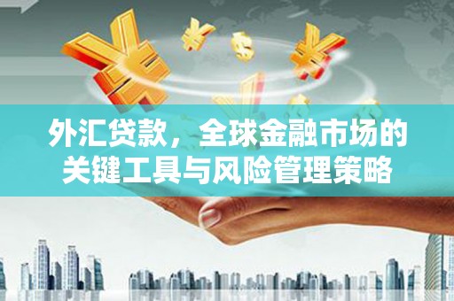 金溪外汇贷款，全球金融市场的关键工具与风险管理策略