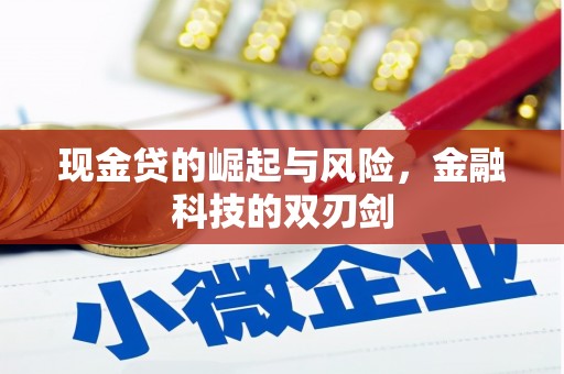 隆安现金贷的崛起与风险，金融科技的双刃剑