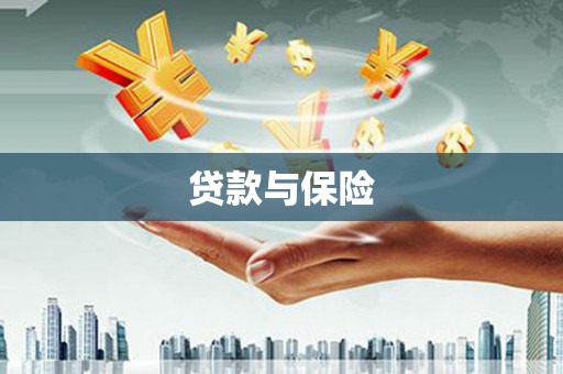 金溪贷款与保险