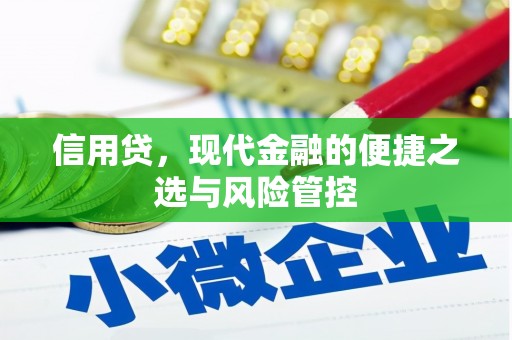 大内信用贷，现代金融的便捷之选与风险管控