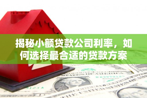 米易揭秘小额贷款公司利率，如何选择最合适的贷款方案