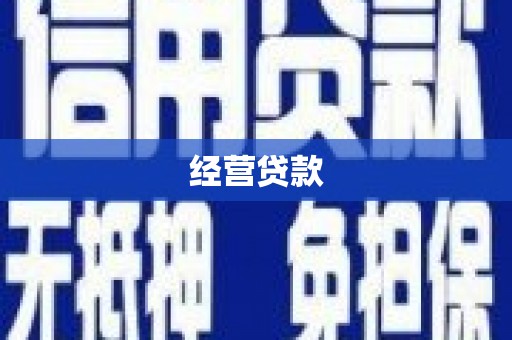 罗山经营贷款