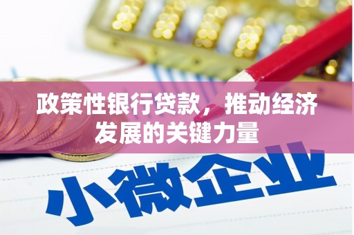 丰台政策性银行贷款，推动经济发展的关键力量